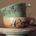 Tea Cups - 8x10 Fine Art Photograph